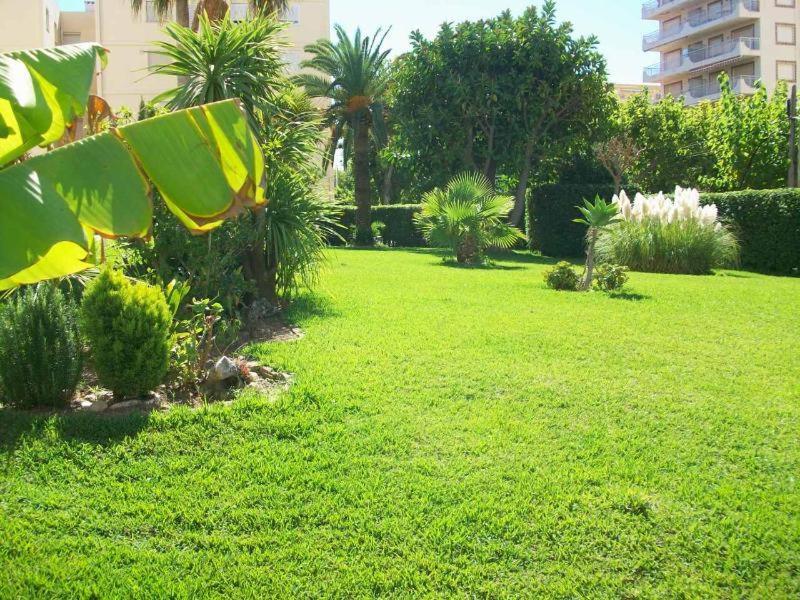 Con Vistas Al Mediterraneo Playa de Gandia Экстерьер фото